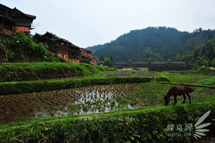 旅游摄影 行摄攻略 正文  小黄侗寨位于贵州黔东南从江县高增乡