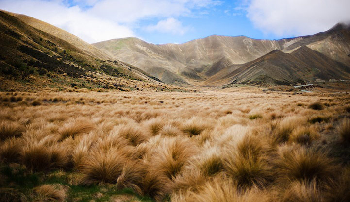 新西兰南岛的初夏 完美的《魔戒3》外景地