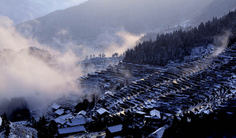 紫鹊界梯田冬景