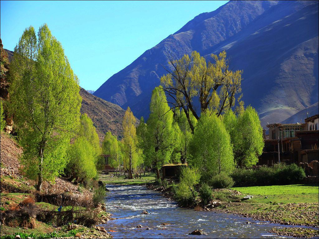 西藏林芝+满目青翠步步暗香