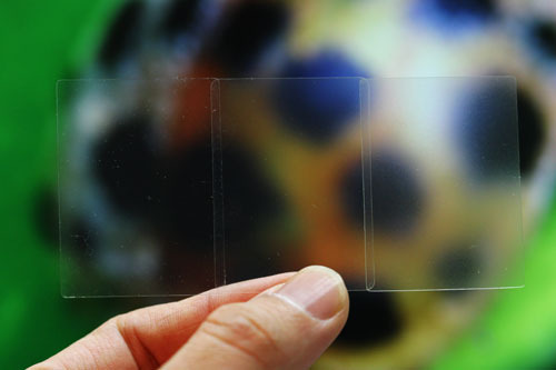 数码摄影入门(八)所见即所得的液晶屏