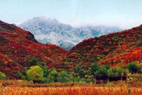 非主流秋景 黄金周北京周边自驾游推荐