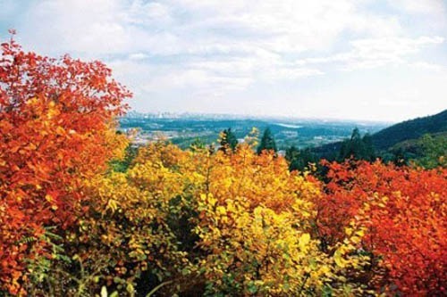非主流秋景 黄金周北京周边自驾游推荐