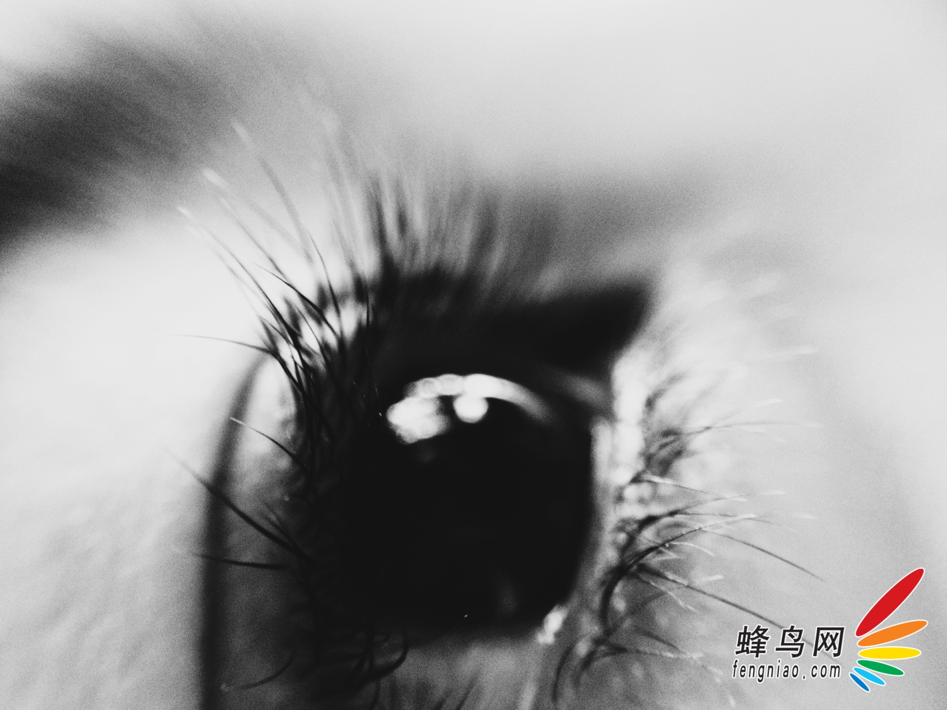 我的机子玩街球FS2008为什么一进去卡死了,人