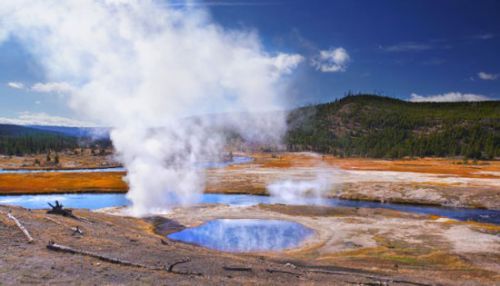 间歇泉、野生动物大迁徙_行摄频道-蜂鸟网