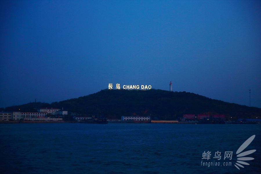 出海喂鸟吃海鲜 山东长岛让你玩到爽