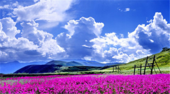 初夏去哪里 6月中国最美旅游地推荐