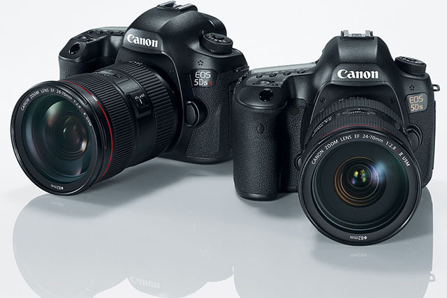 细节突出 佳能EOS 5DS系单反官方样张