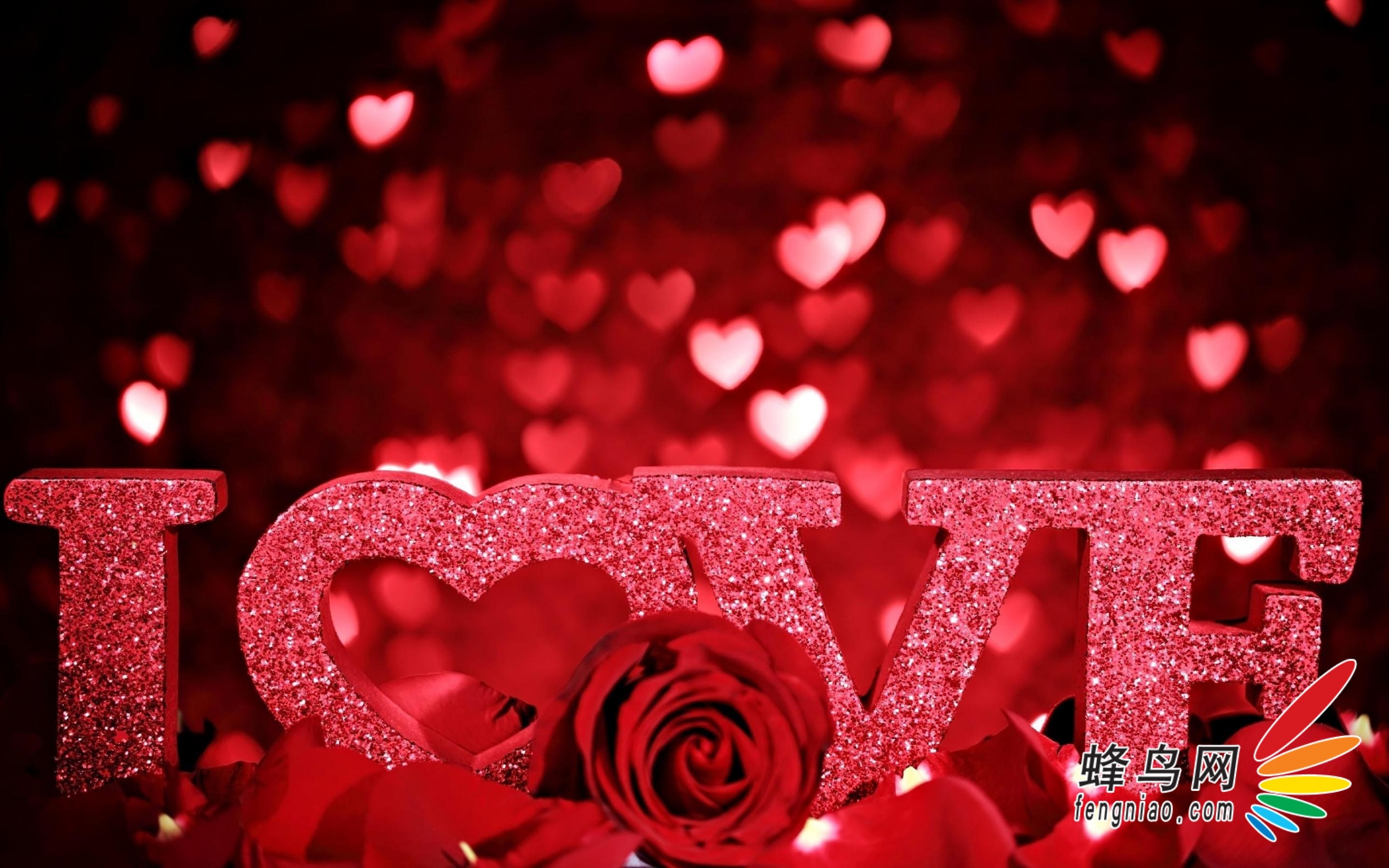 轻推荐:文艺青年情人节必备的摄影软件_手机-蜂鸟网