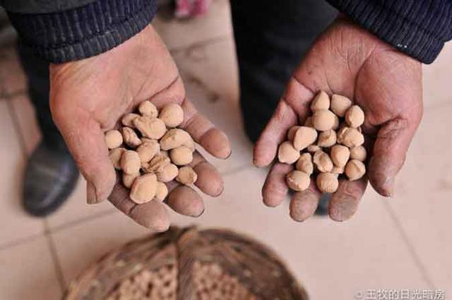 企鹅号绝密流量圣经!看大牛们在腾讯图片沙龙