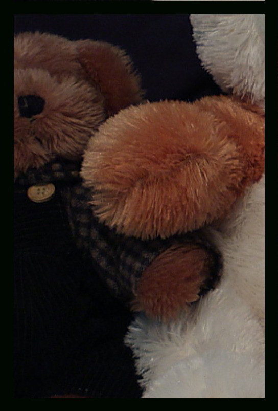 透过佳能EOS 40D看sRAW和RAW格式的区别