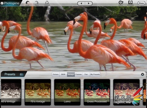 iPad照片编辑App Photogene For iPad更新