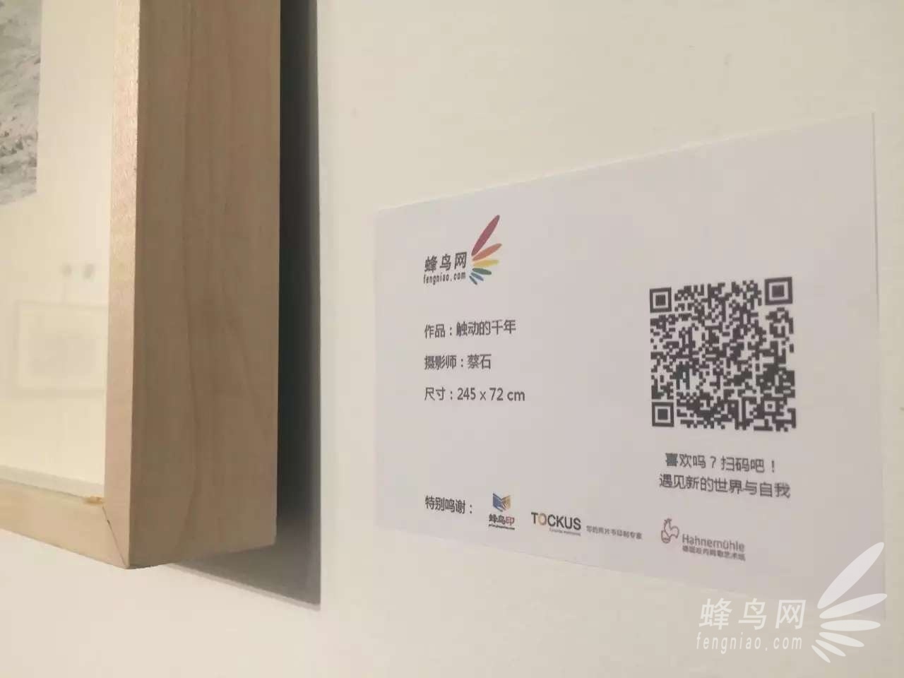 蜂鸟快手点赞（快手点赞能赚到钱吗）