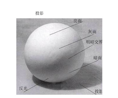 明暗五调子怎么画图片